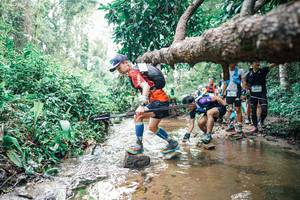 BIB: 
                            <button type="button" onclick="openModal(25374037)" class="btn btn-primary btn-sm float-right btn-popup" data-toggle="modal" data-target=".modal-high-quality">
                        <i class="fas fa-shopping-cart"></i> Add to Cart
                    </button>
                                            <button type="button" onclick="isThisMe(25374037, true)" class="btn btn-success btn-sm float-right btn-popup btn-isme hidden" data-toggle="tooltip" data-placement="bottom" title="นี่คือรูปของคุณใช่ไหม คลิกที่นี่เพื่อเอาเข้าอัลบั้ม">
                        <i class="fas fa-plus"></i> Add to album
                    </button>
                    <button type="button" onclick="isThisMe(25374037, false)" class="btn btn-warning btn-sm float-right btn-popup btn-isnotme hidden">
                        <i class="fas fa-ban"></i> Remove from album
                    </button>